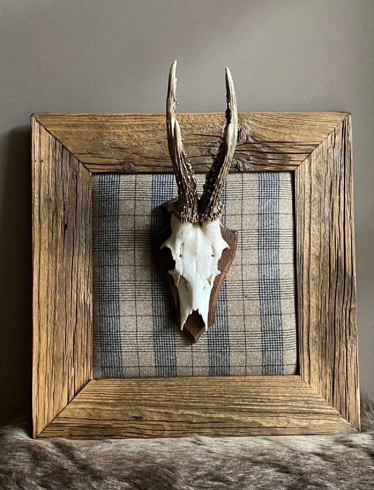 Bild für ein Hirschgeweih