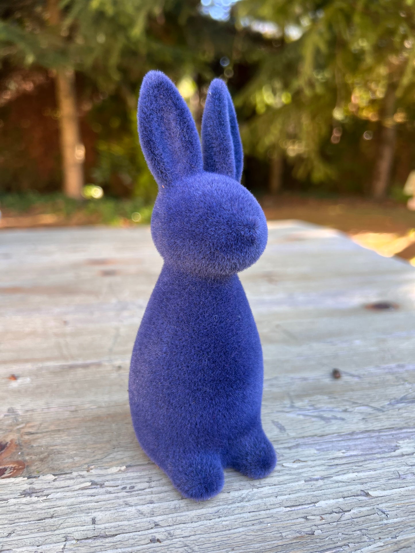 Hase Mini Blau