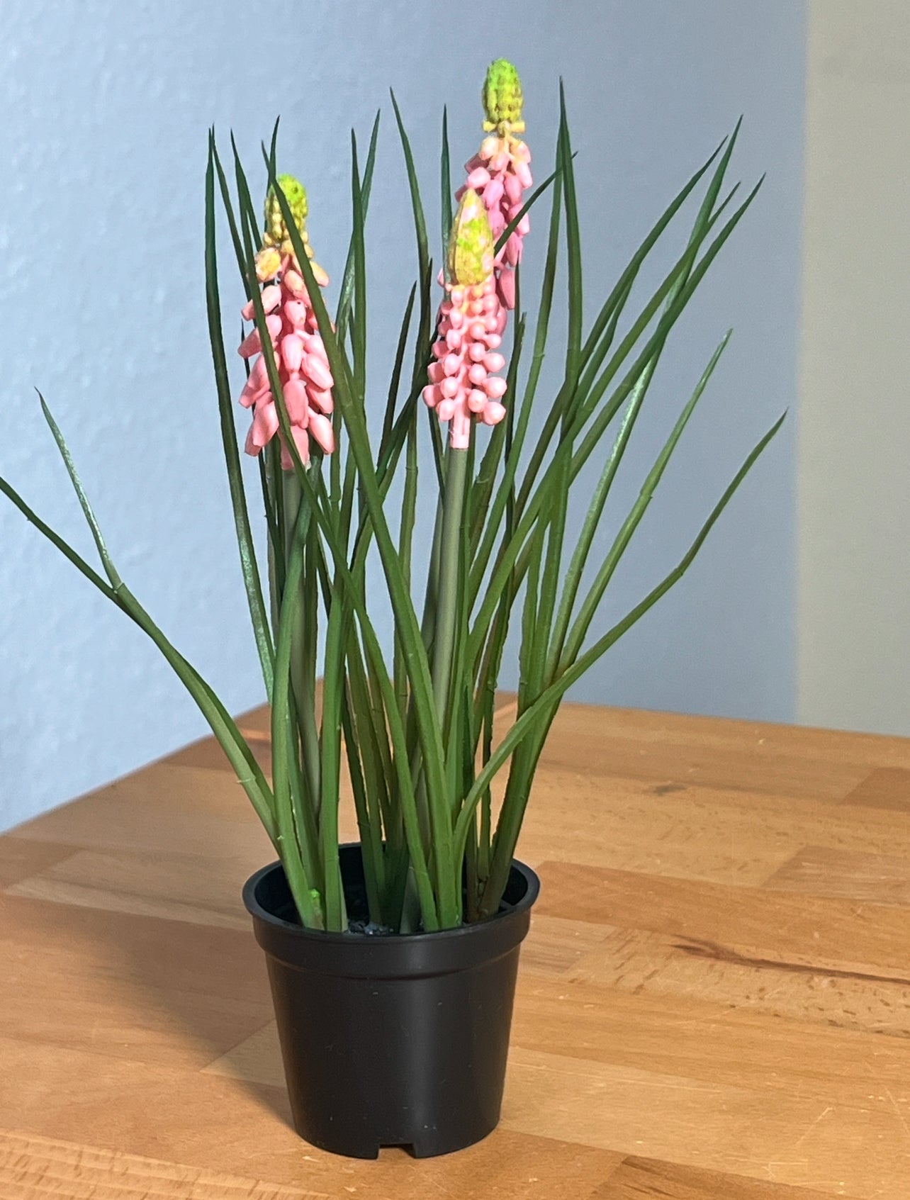 Muscari im Topf Kunstblumen