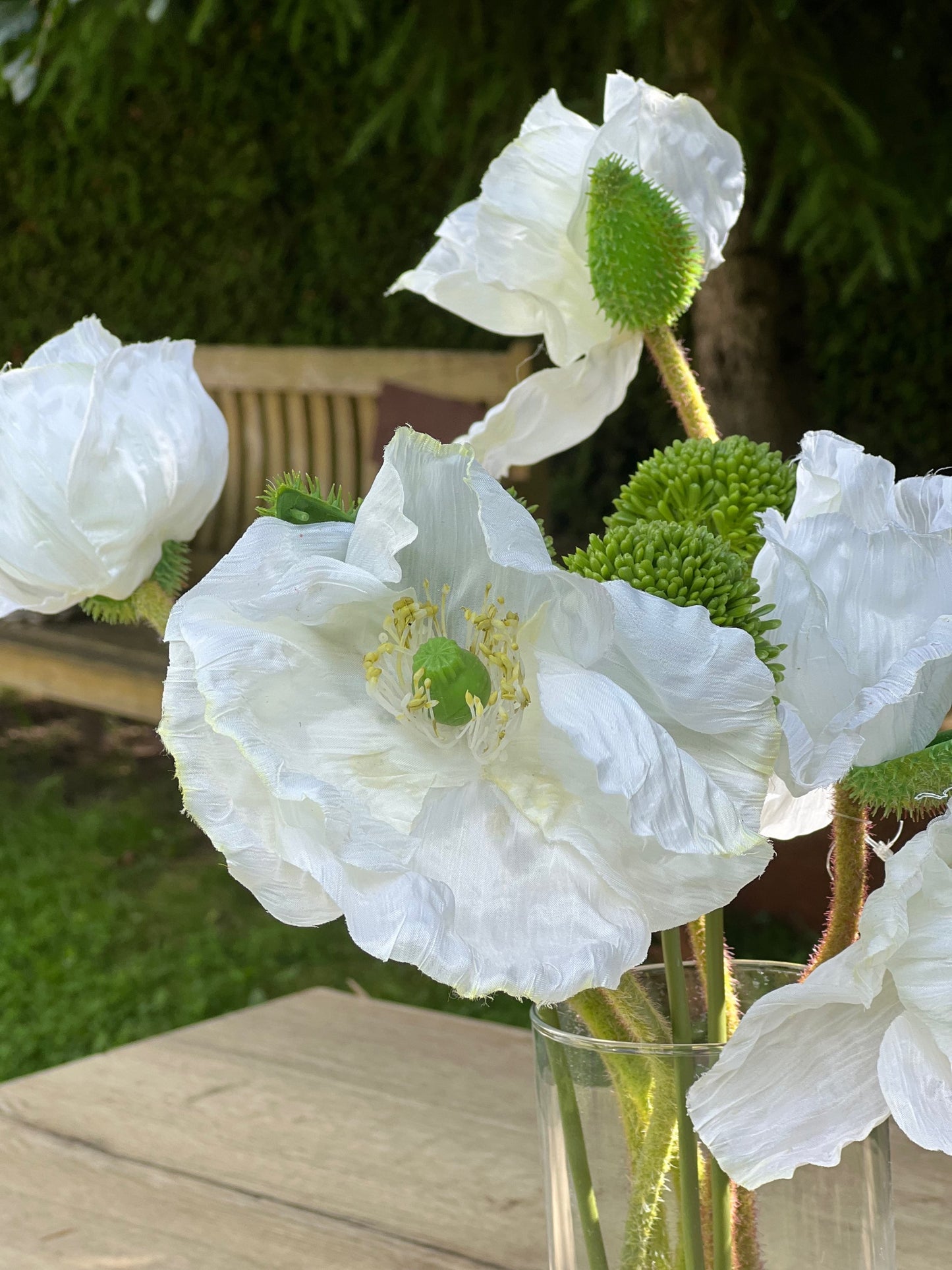 Mohnblume naturgetreu