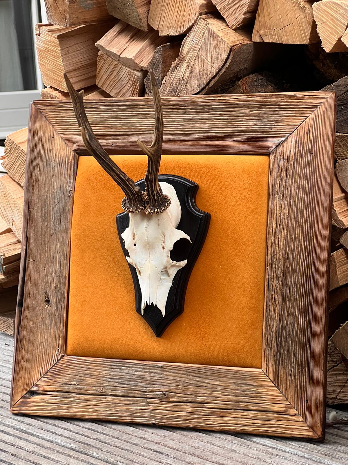 Geweihbild Samthintergrund OCKER Farbton 26