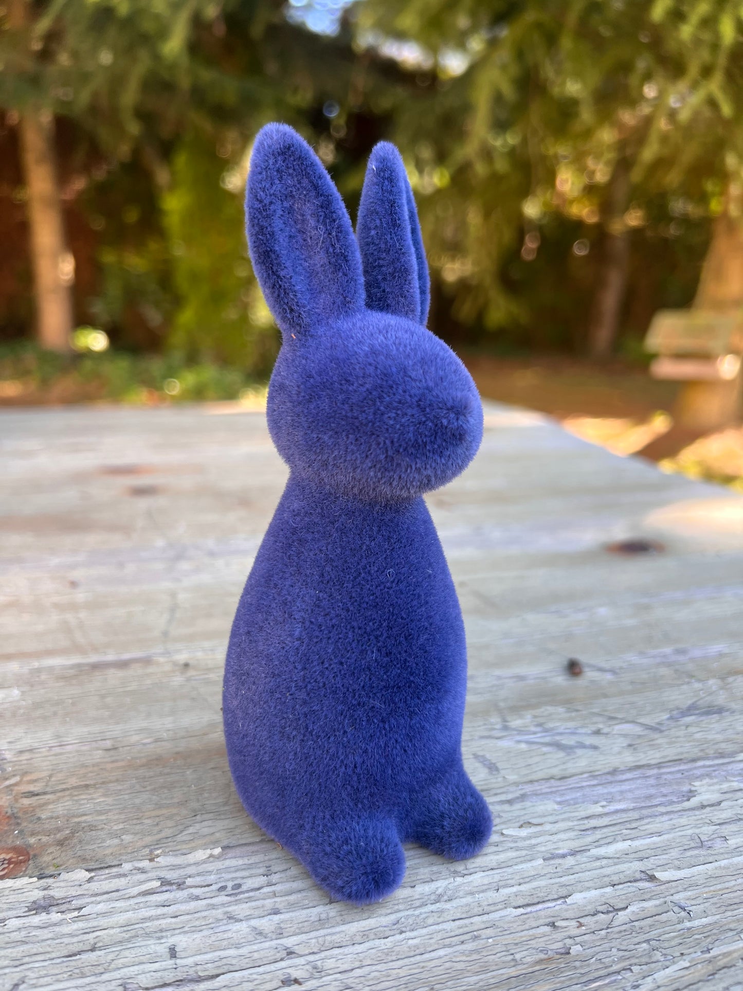 Hase Mini Blau