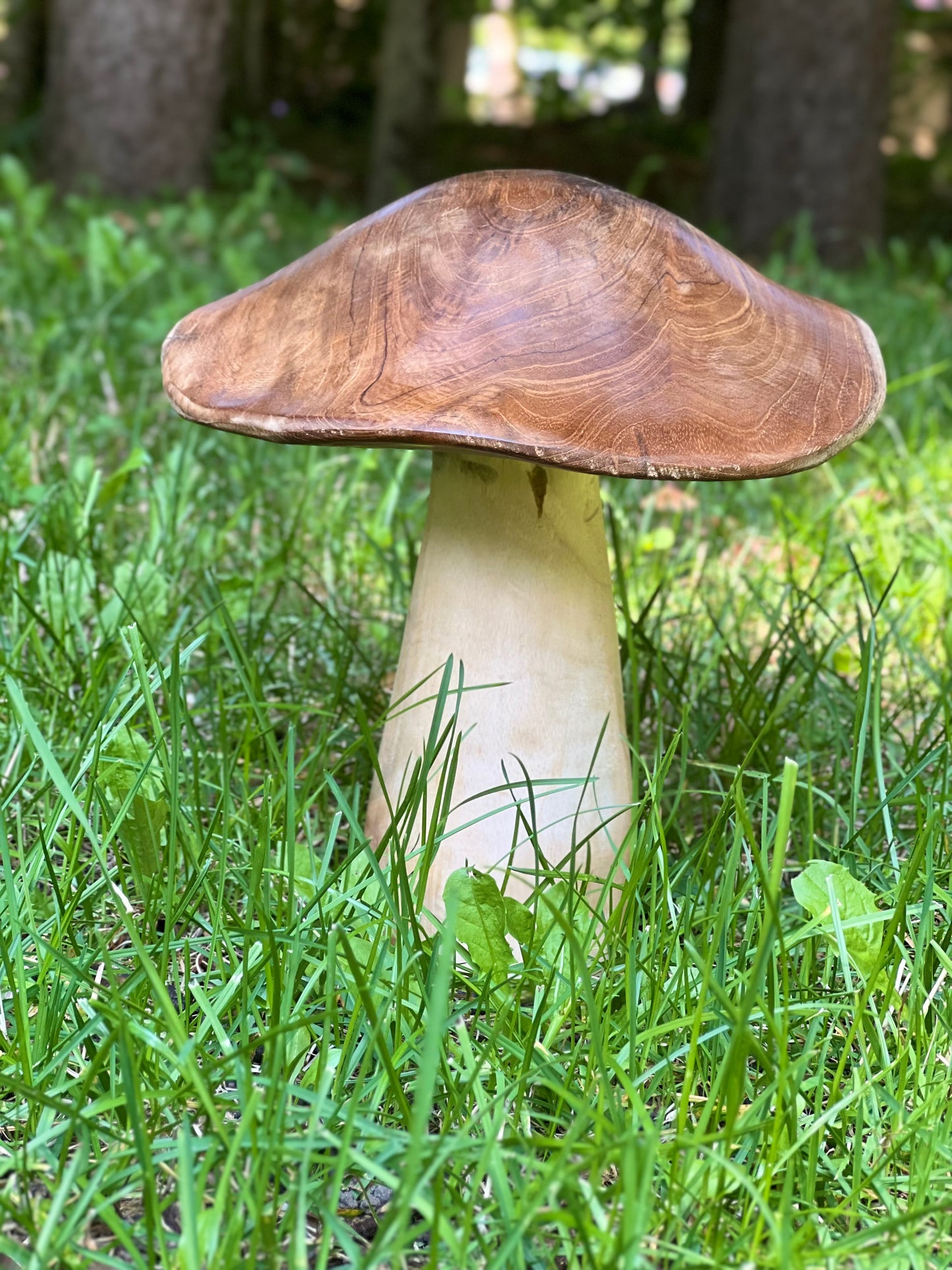 Pilz aus Massivholz