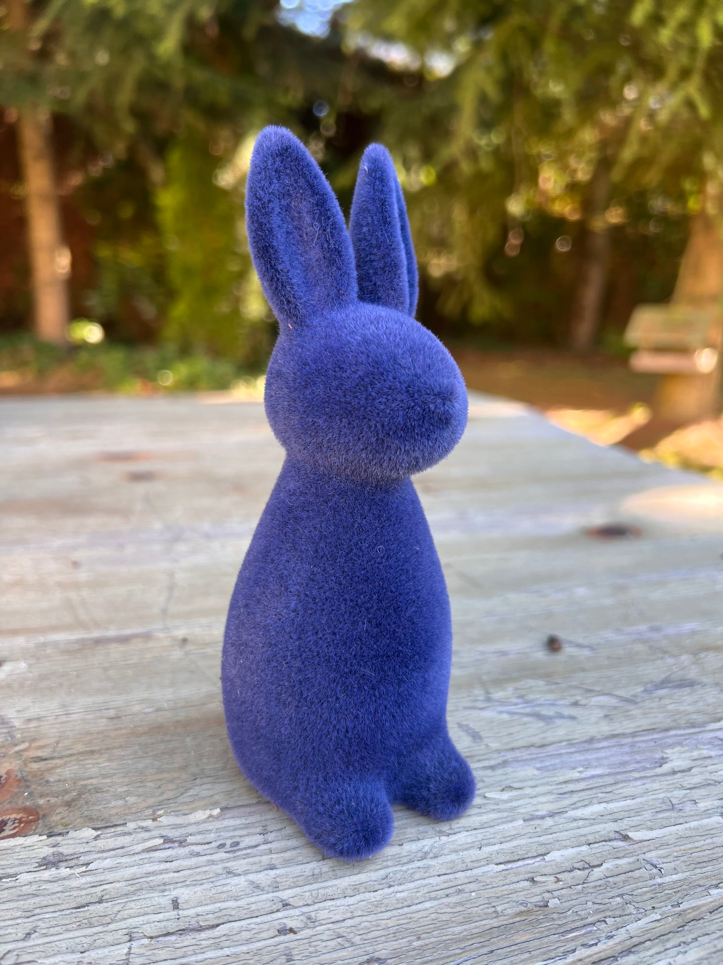 Hase Mini Blau