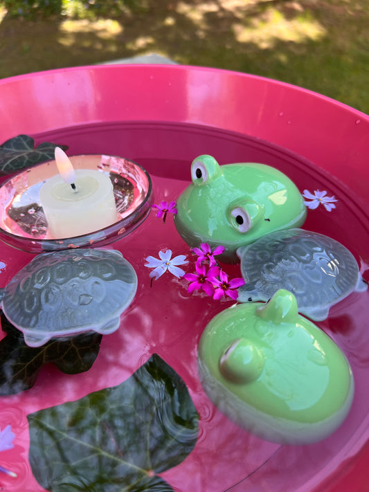 Frösche & Schildkröten als Schwimmtiere