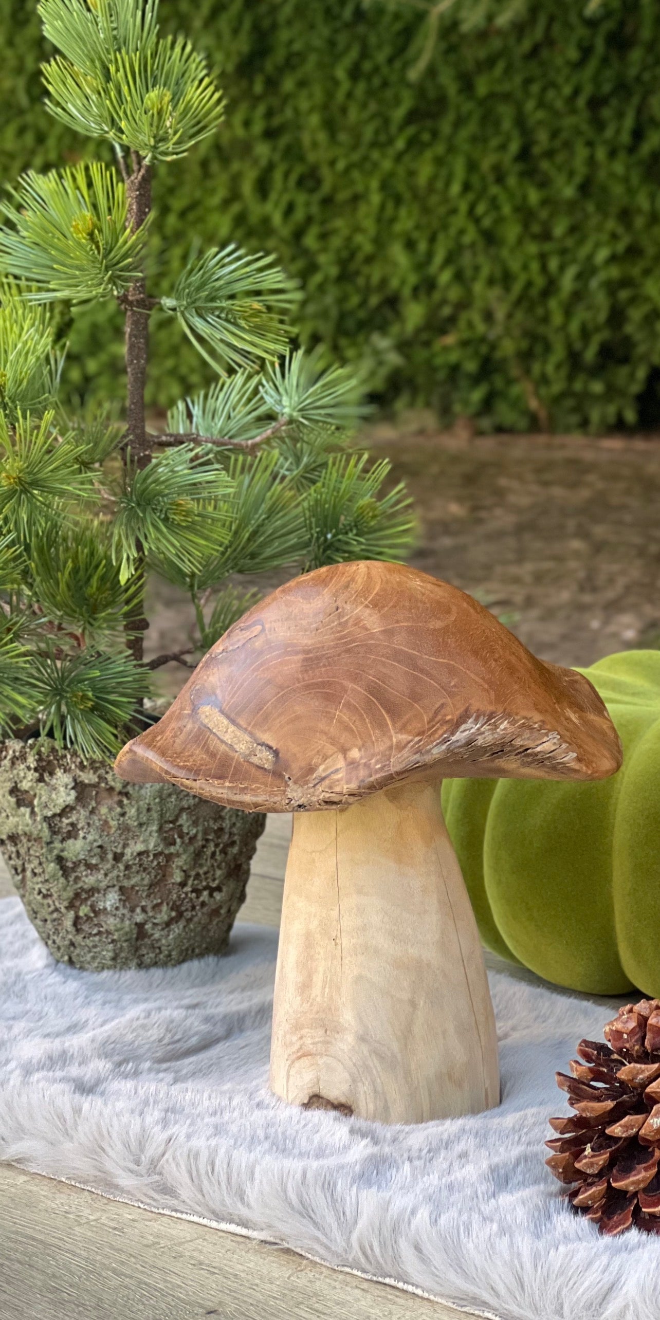 Pilz aus Massivholz