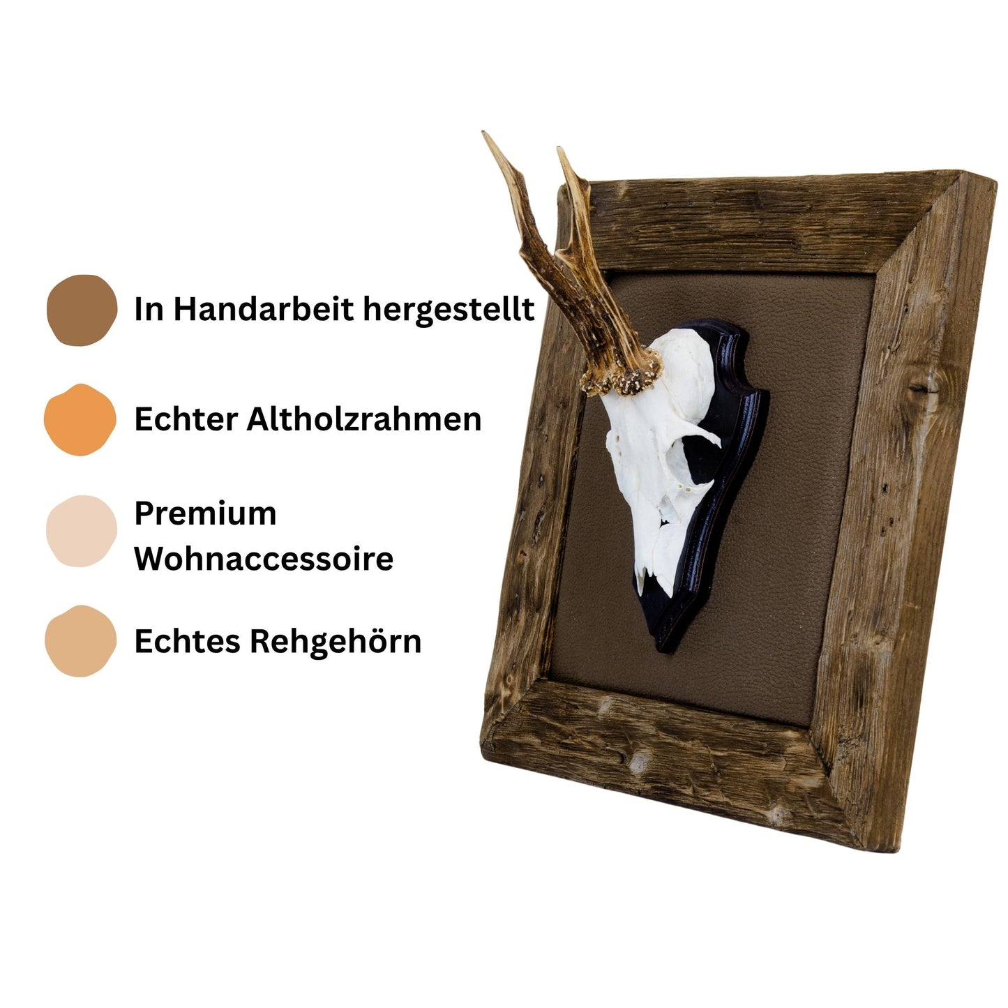Gehörn Bilder mit Kunstleder dunkelbraun - Holz dunkel