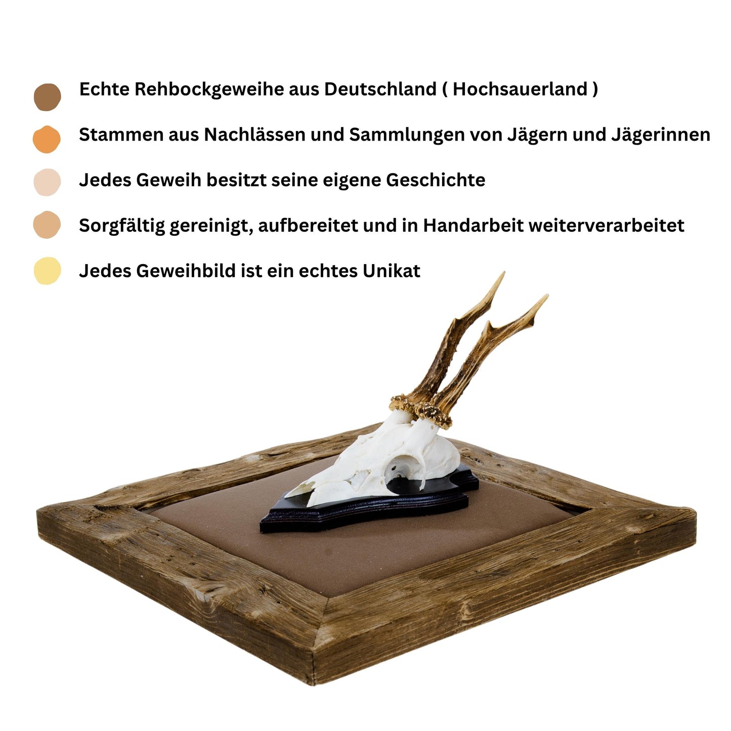 Gehörn Bilder mit Kunstleder dunkelbraun - Holz dunkel