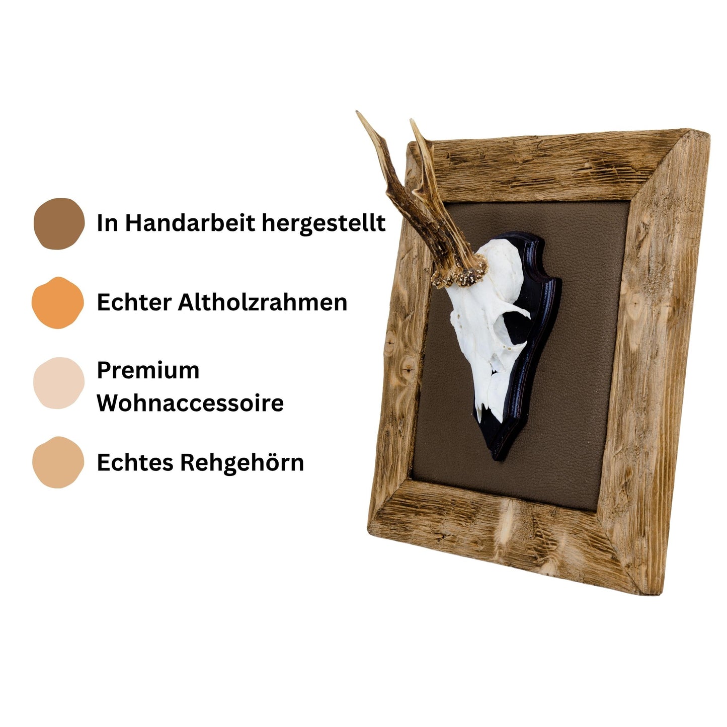 Gehörn Bilder mit Kunstleder dunkelbraun - Holz hell