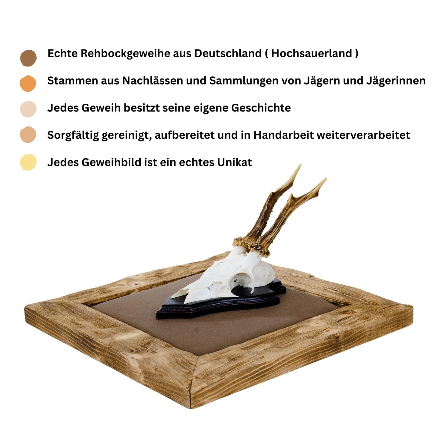 Gehörn Bilder mit Kunstleder dunkelbraun - Holz hell
