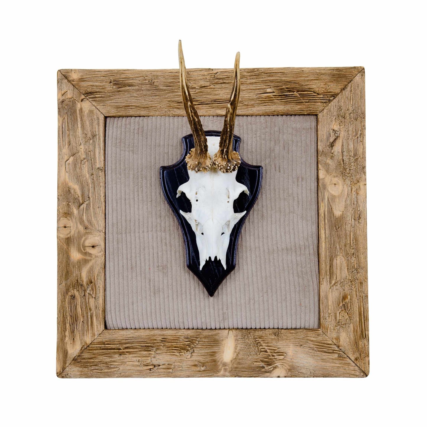 Geweihbilder Cord beige