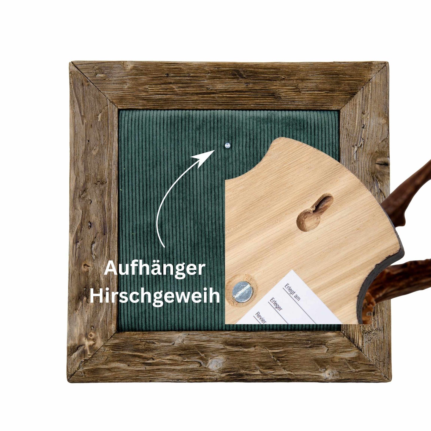 Geweihbilder Cord dunkelgrün - Holz dunkel