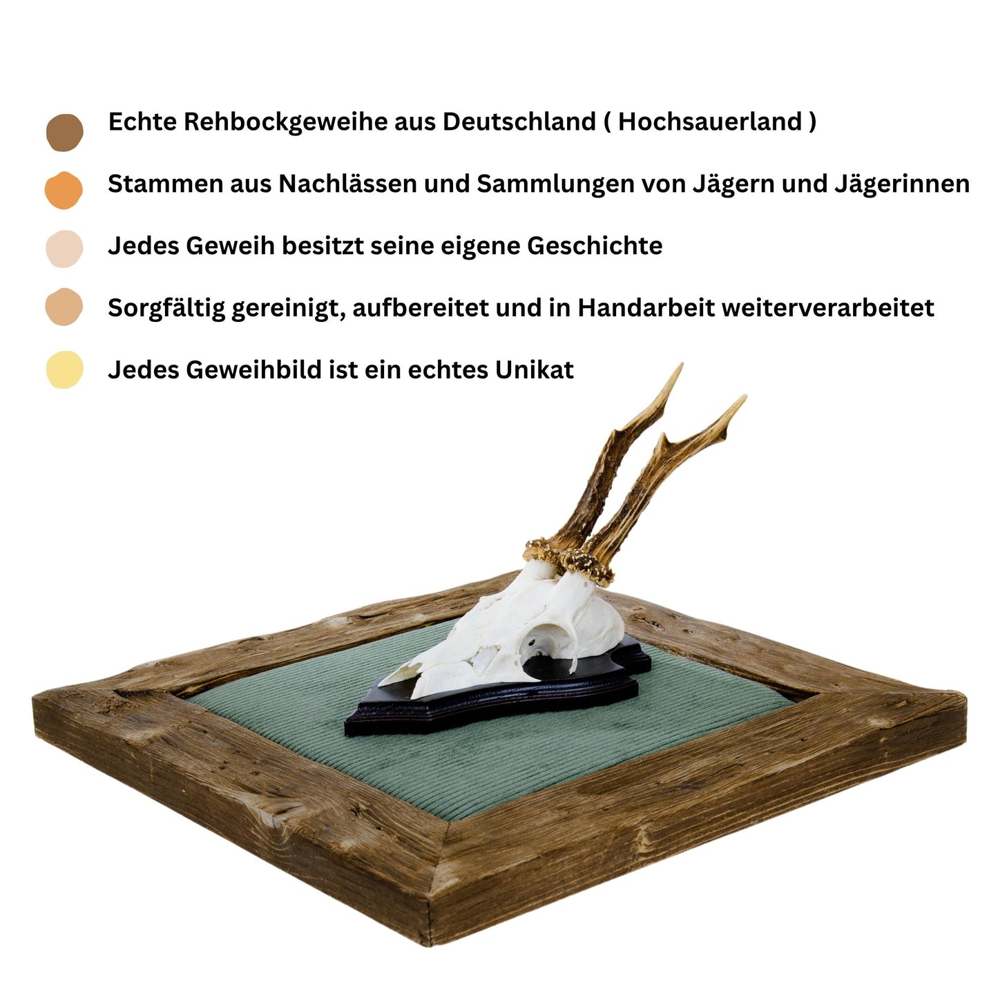 Geweihbilder Cord dunkelgrün - Holz dunkel