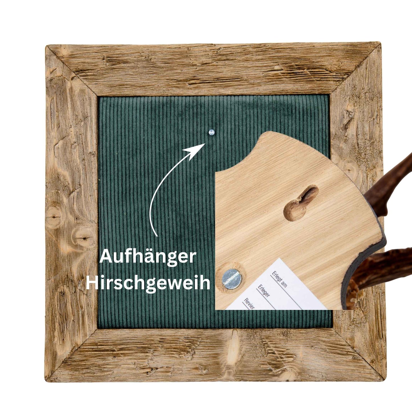 Geweihbilder Cord dunkelgrün - Holz hell
