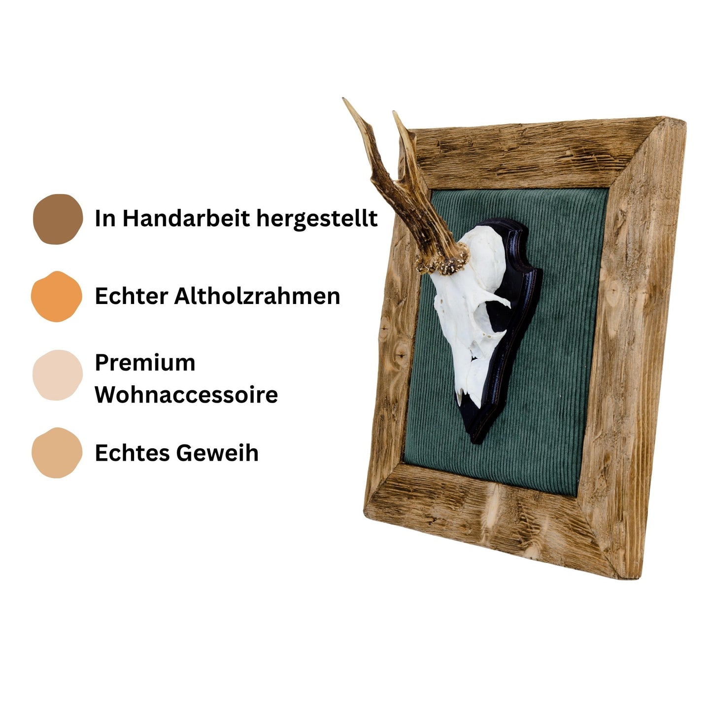 Geweihbilder Cord dunkelgrün - Holz hell