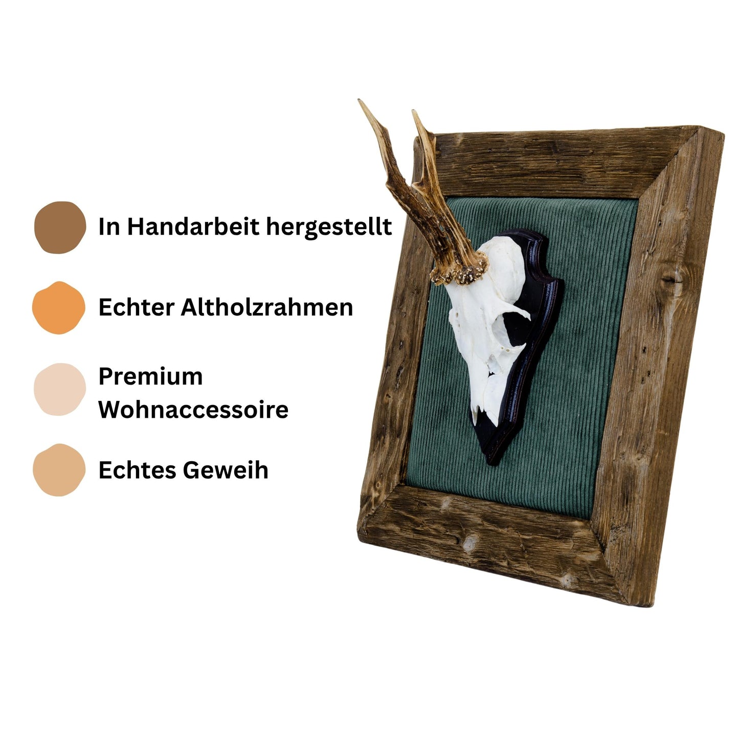 Geweihbilder Cord dunkelgrün - Holz dunkel
