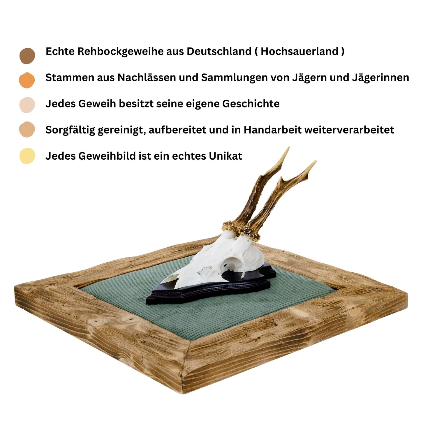 Geweihbilder Cord dunkelgrün - Holz hell