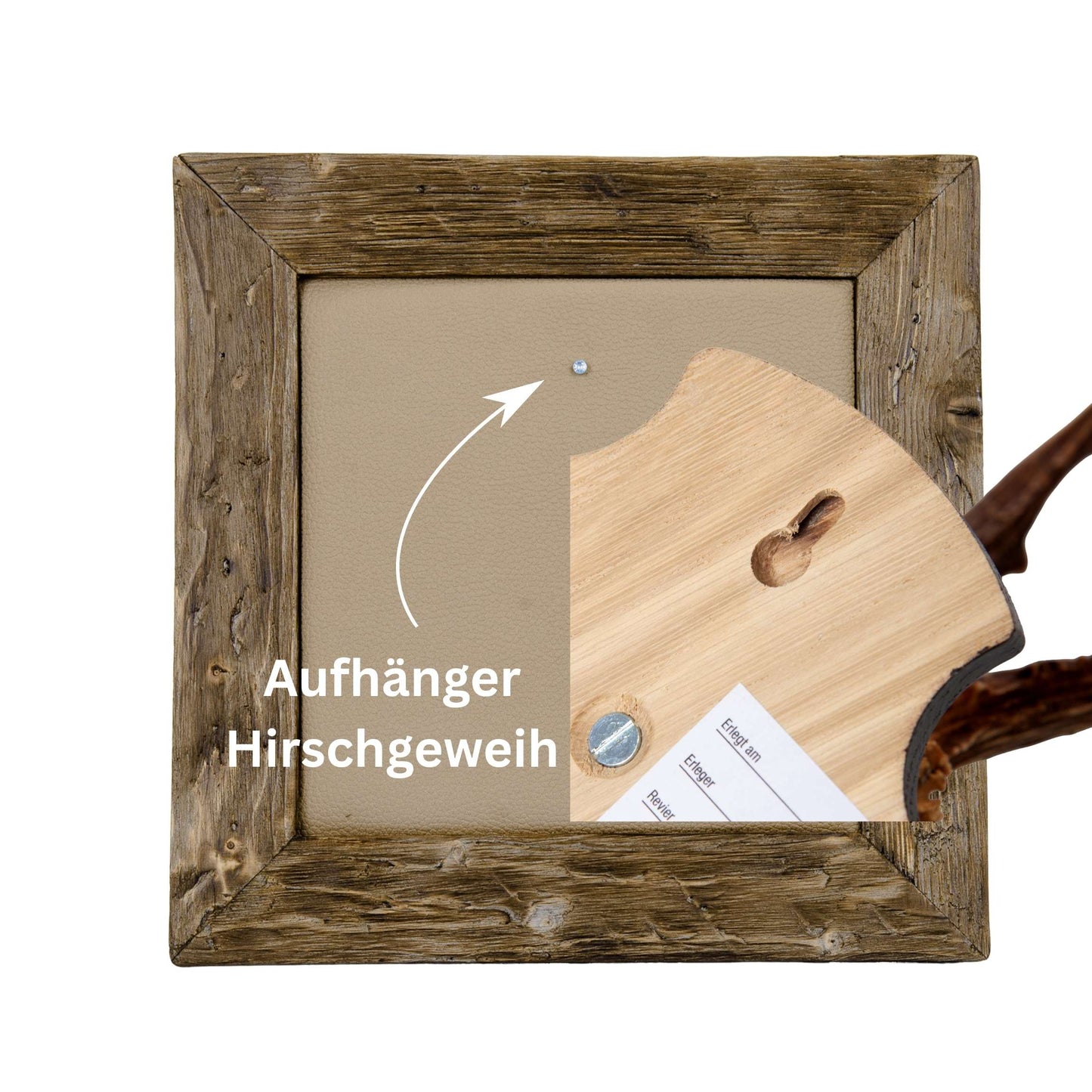Geweihbilder Leder beige - Holz dunkel