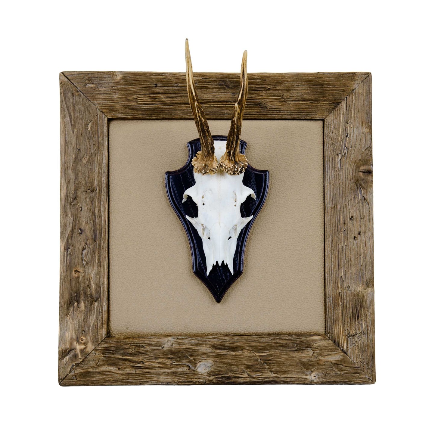 Geweihbilder Leder beige - Holz hell