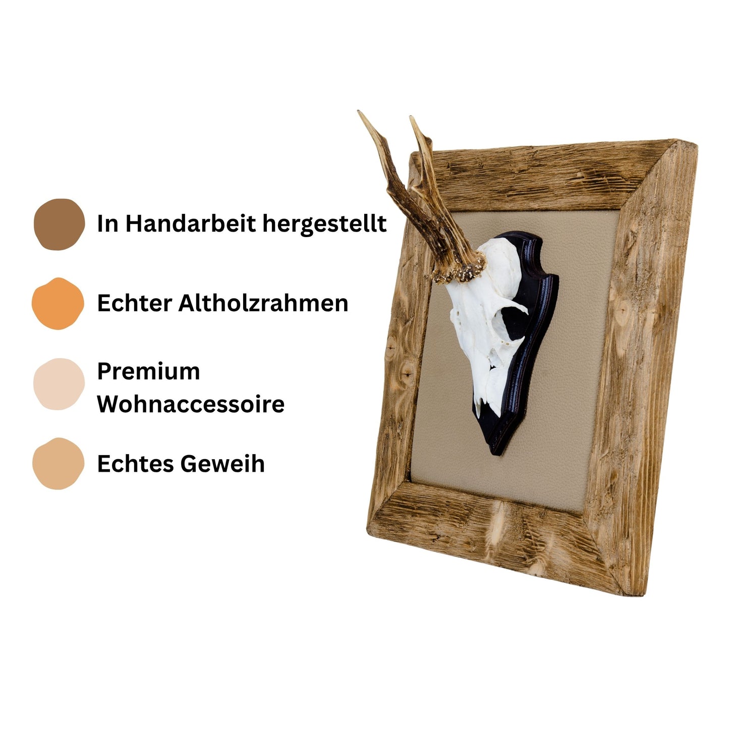 Geweihbilder Leder beige - Holz hell