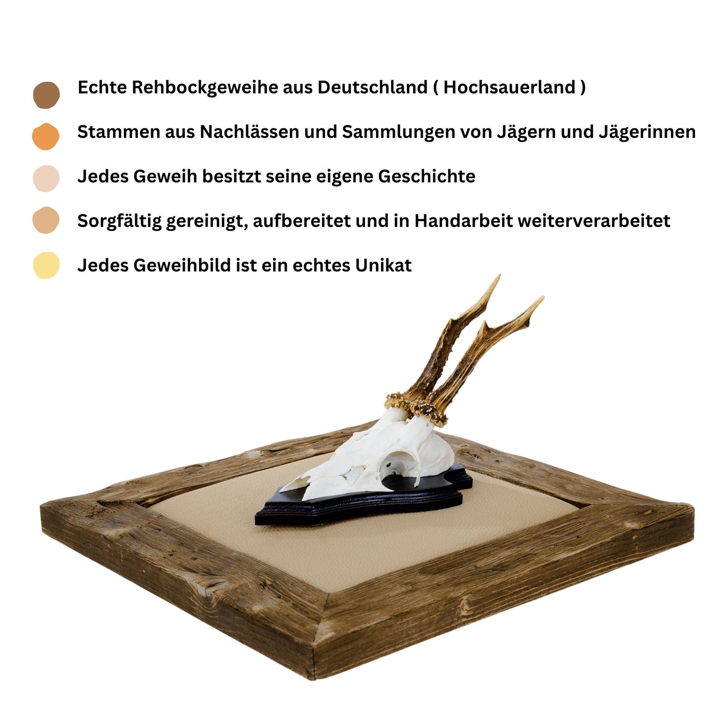 Geweihbilder Leder beige - Holz dunkel