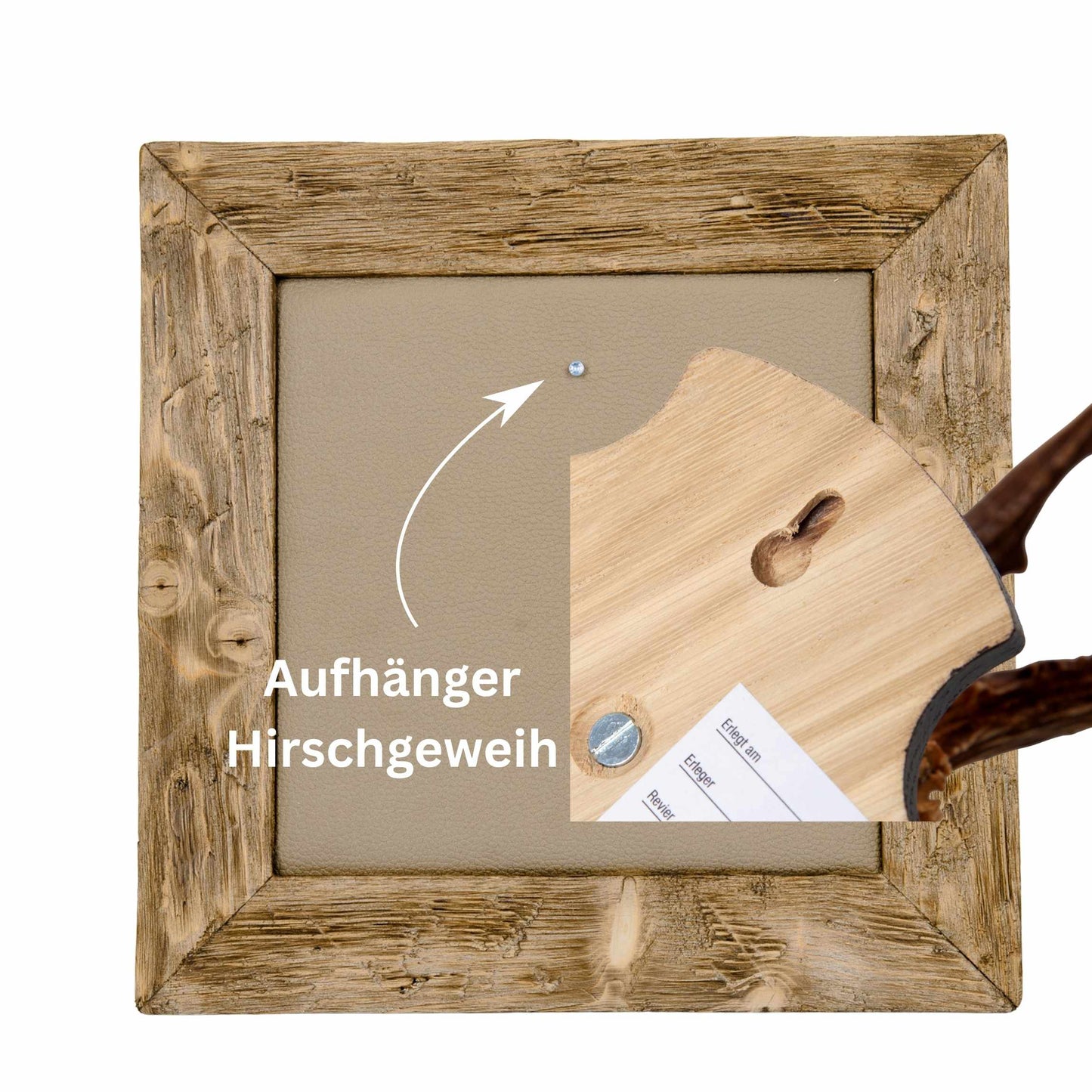 Geweihbilder Leder beige - Holz hell