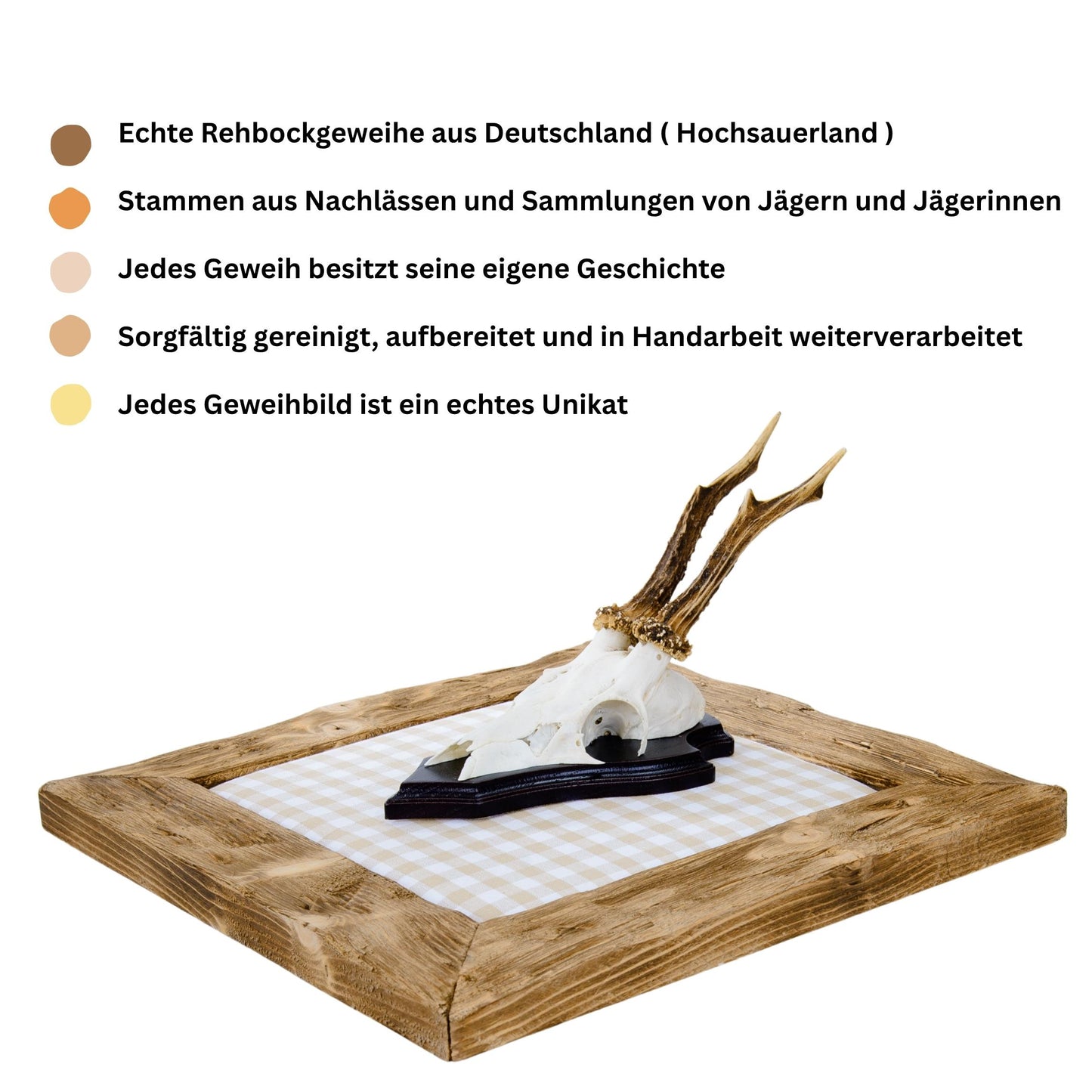 Geweihbilder beige - weiß Kariert - Holz hell