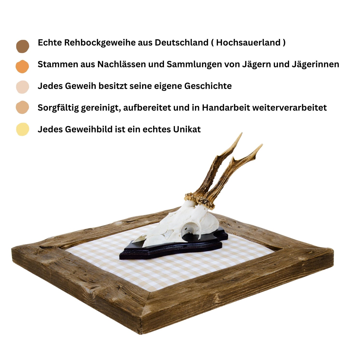 Geweihbilder beige - weiß Kariert - Holz dunkel
