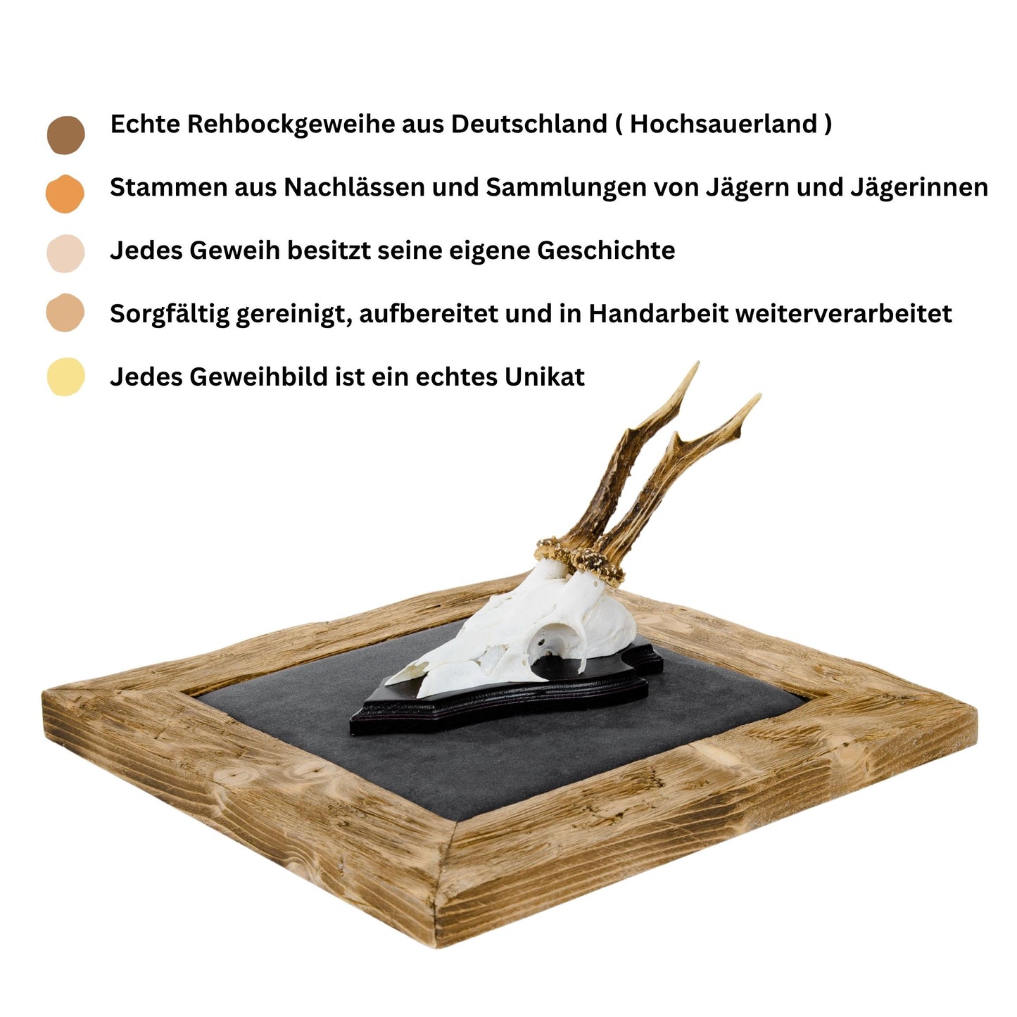 Geweihbilder dunkelgrau - Holz hell