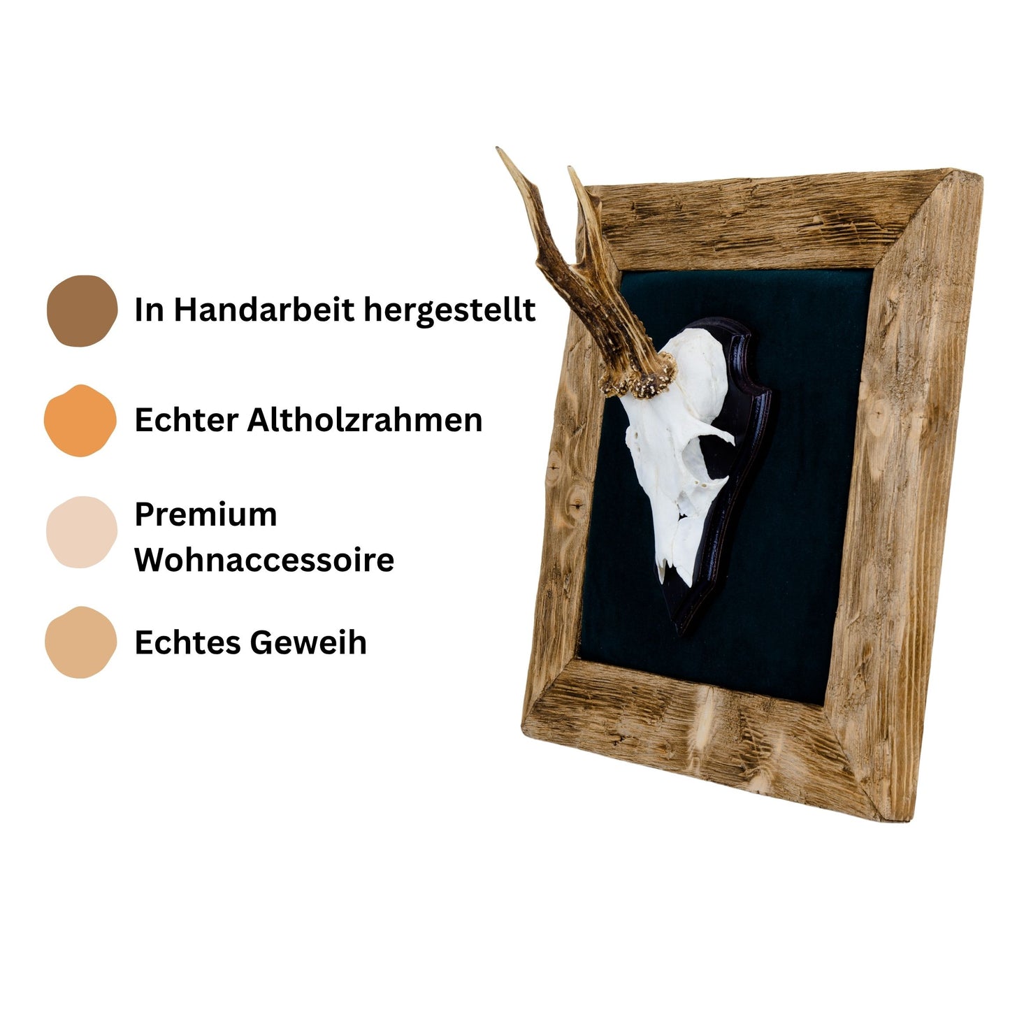 Geweihbilder dunkelgrau - Holz hell