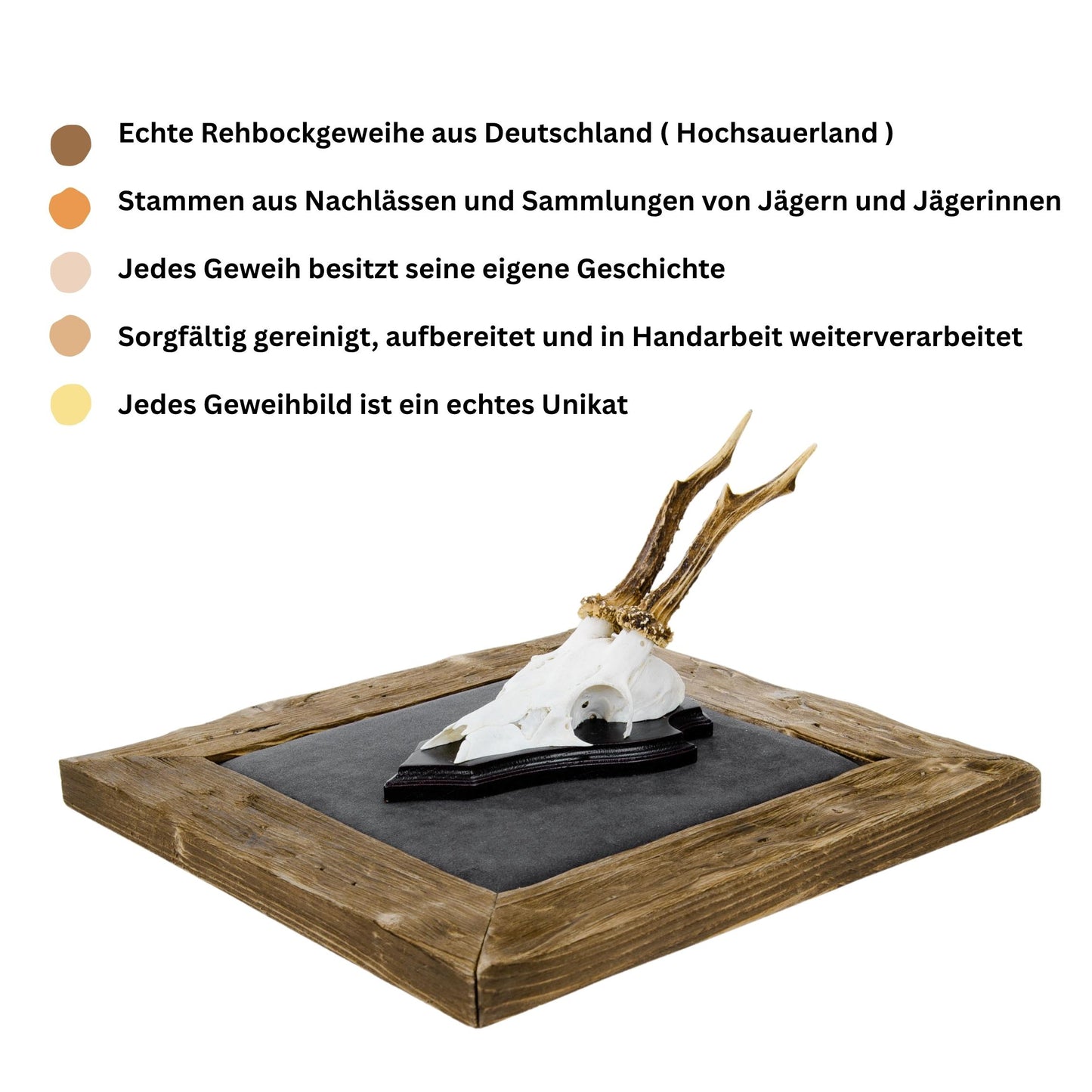 Geweihbilder dunkelgrau - Holz dunkel