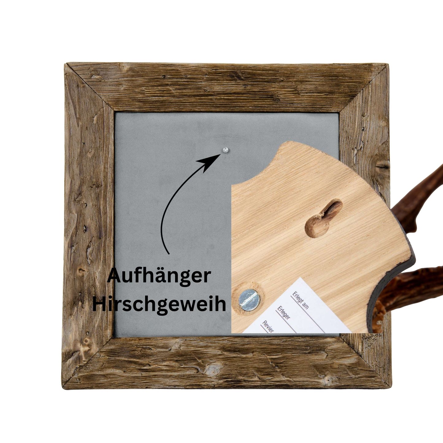 Geweihbilder hellgrau - Holz dunkel