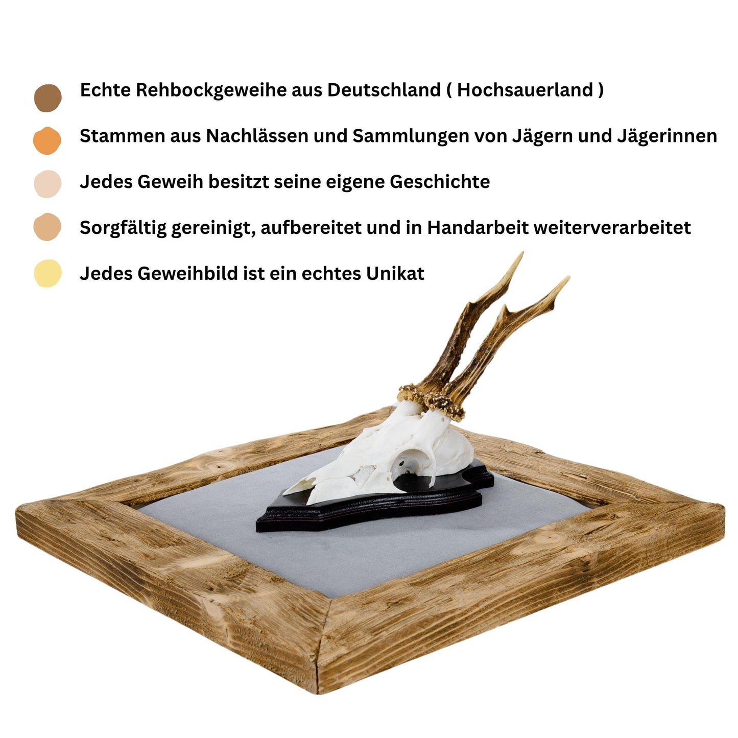 Geweihbilder hellgrau - Holz hell