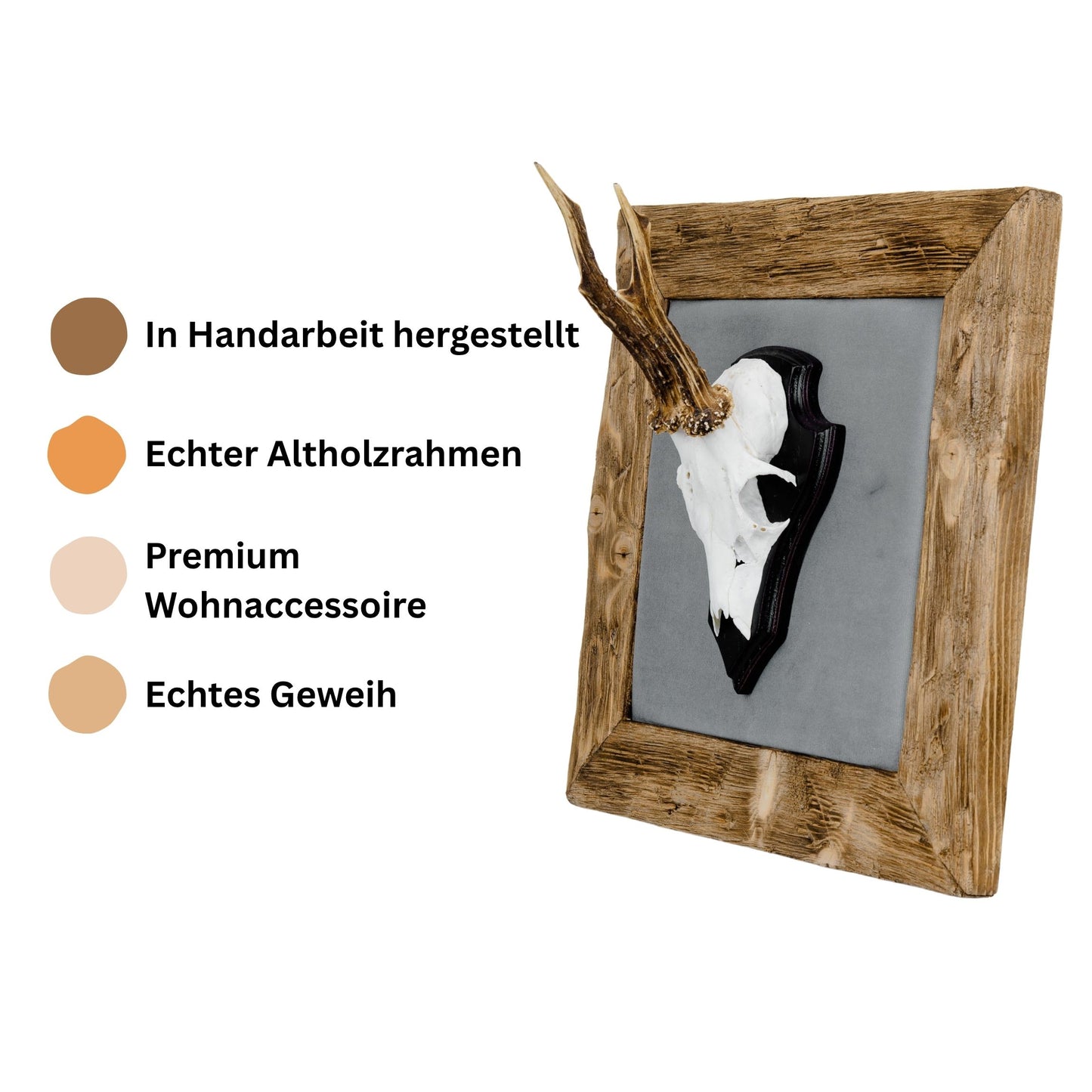 Geweihbilder hellgrau - Holz hell