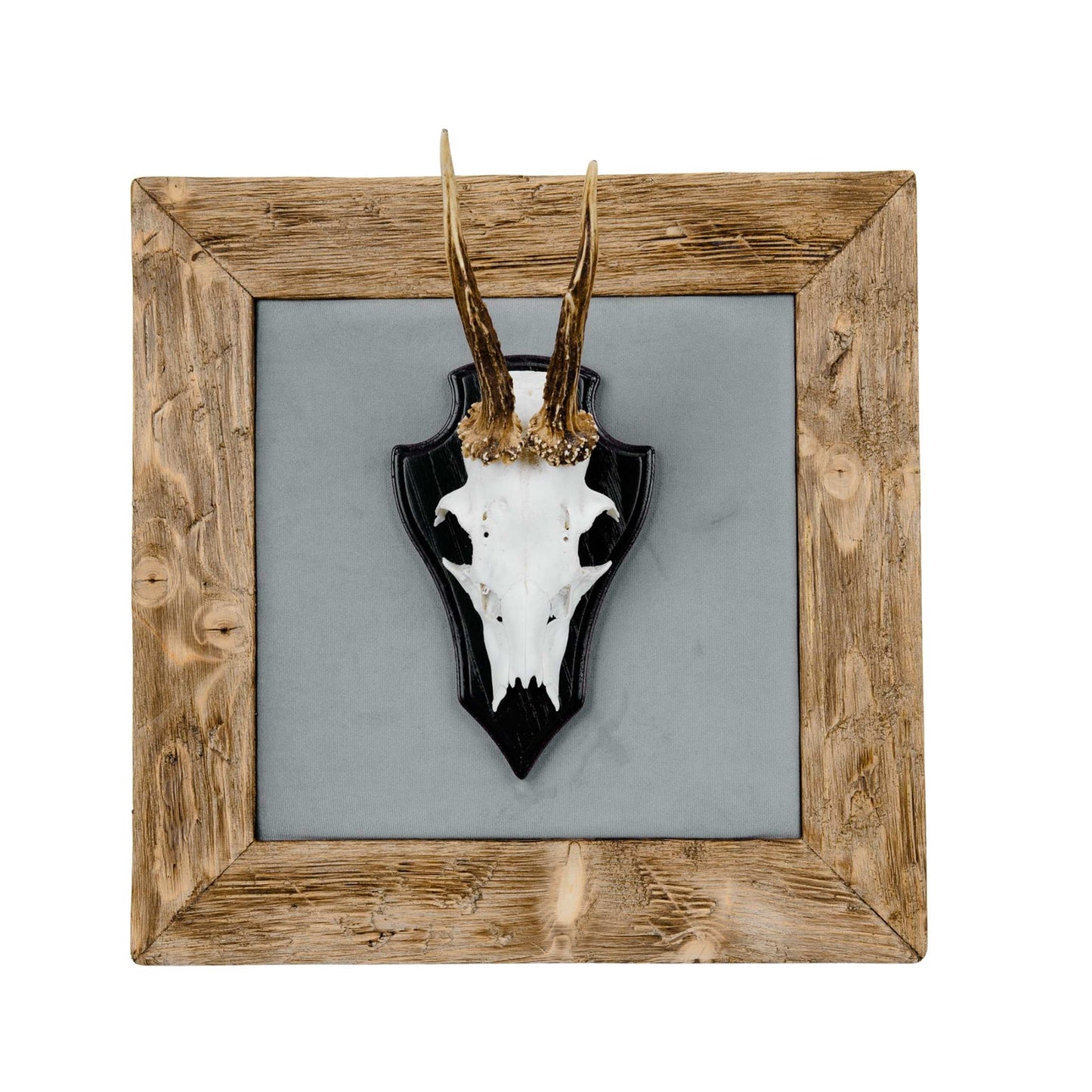 Geweihbilder hellgrau - Holz hell
