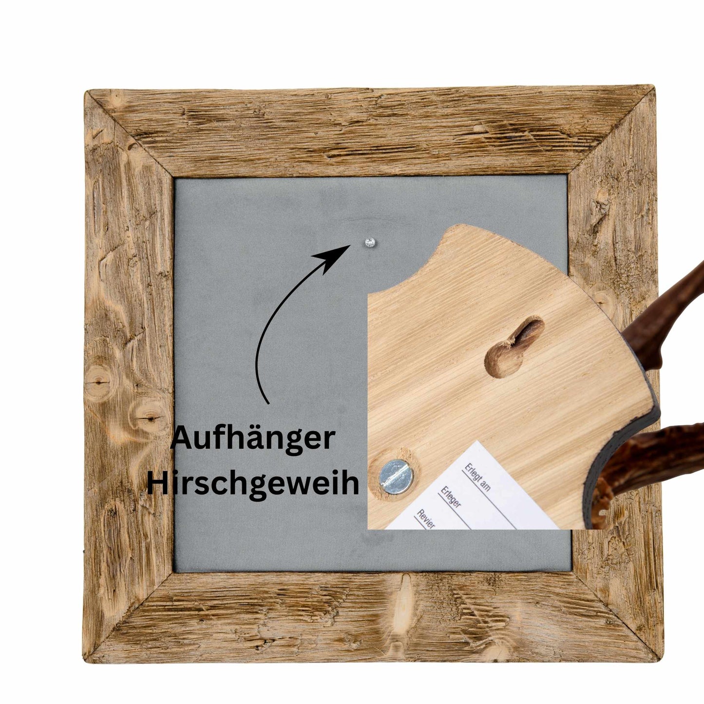 Geweihbilder hellgrau - Holz hell