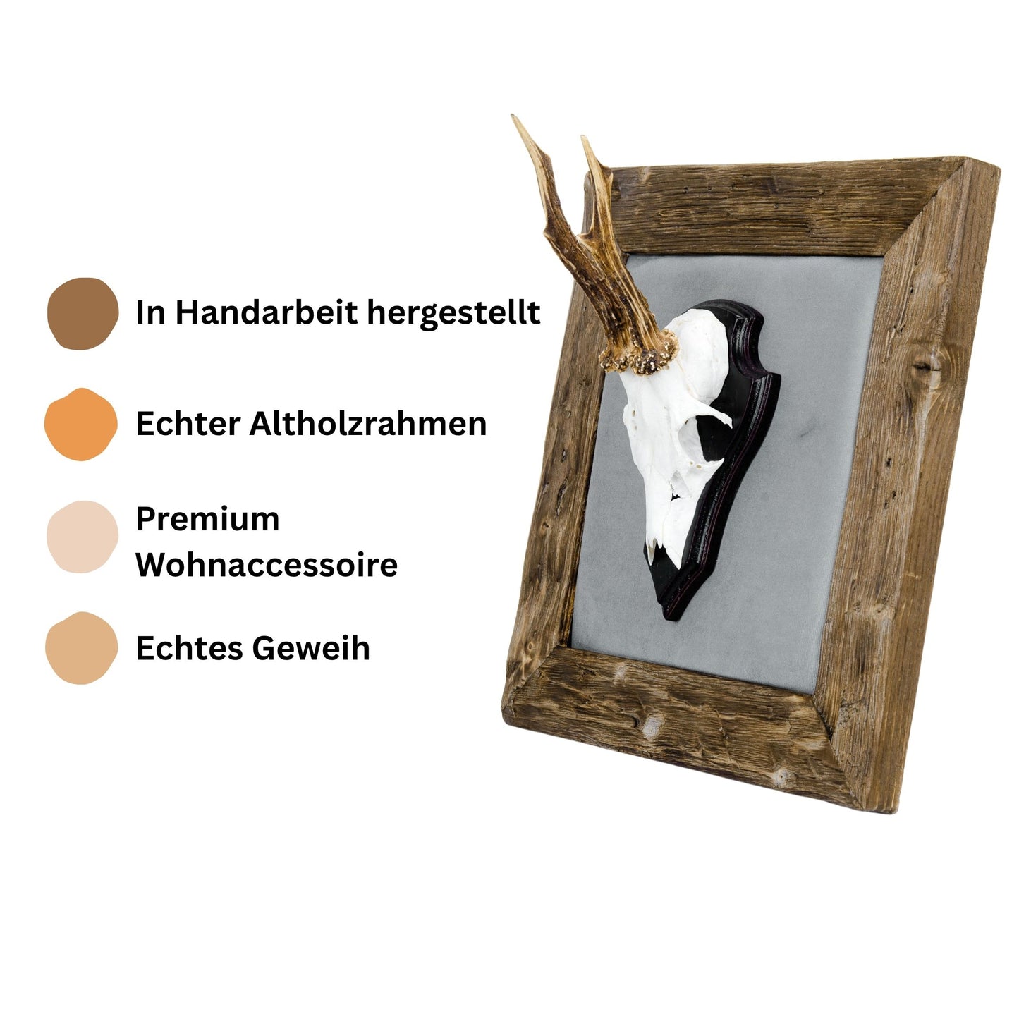 Geweihbilder hellgrau - Holz dunkel