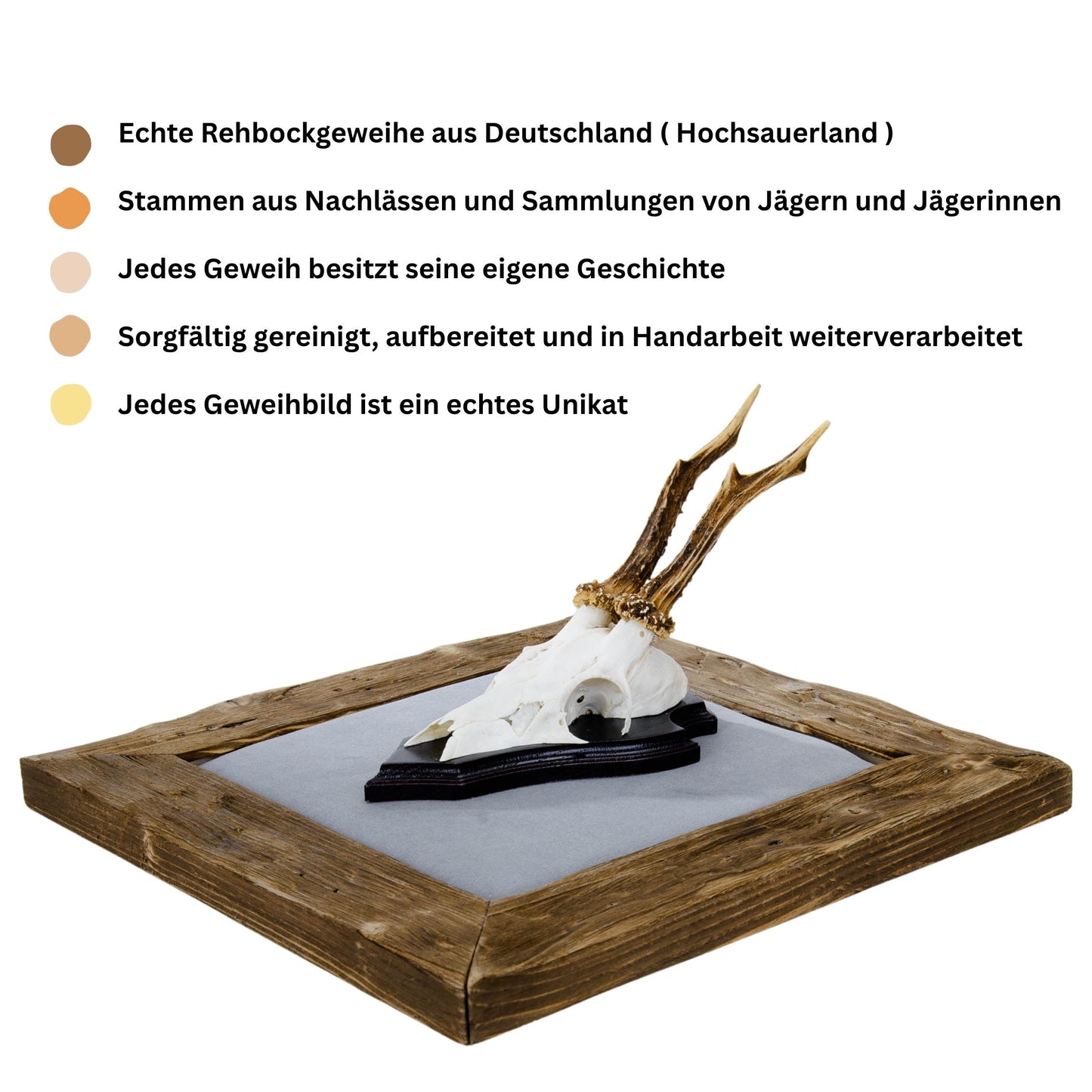 Geweihbilder hellgrau - Holz dunkel