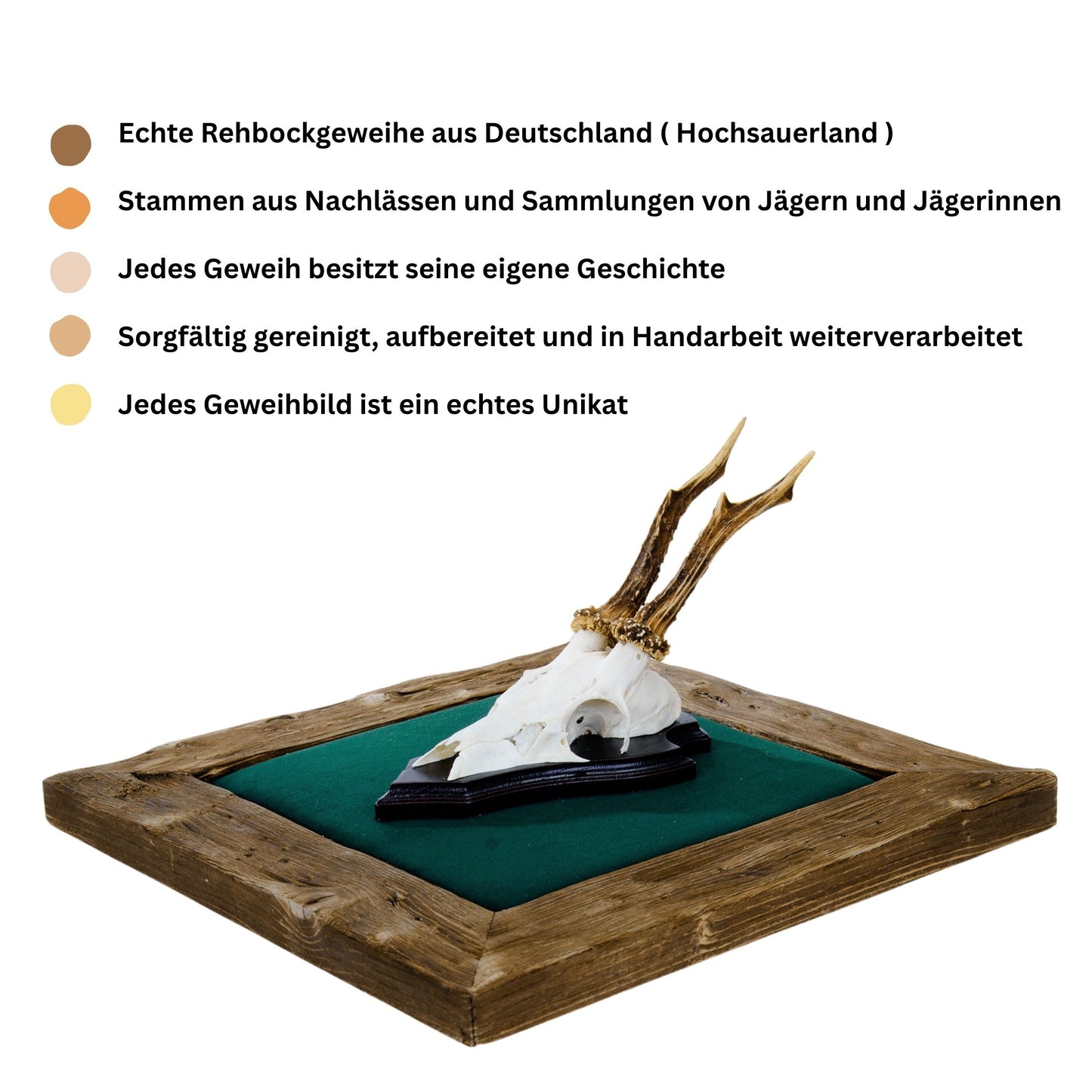 Geweihbilder Kiefergrün - Velour