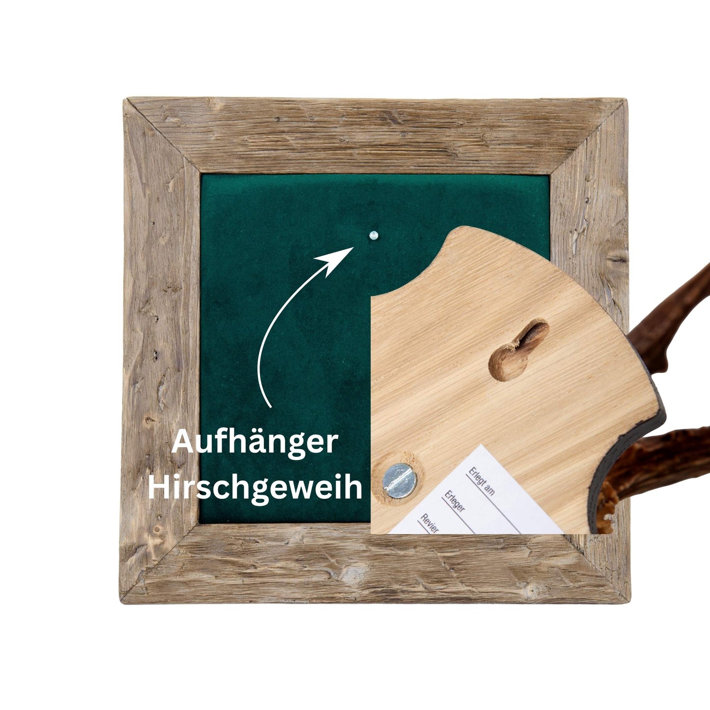 Geweihbilder Kiefergrün - Velour