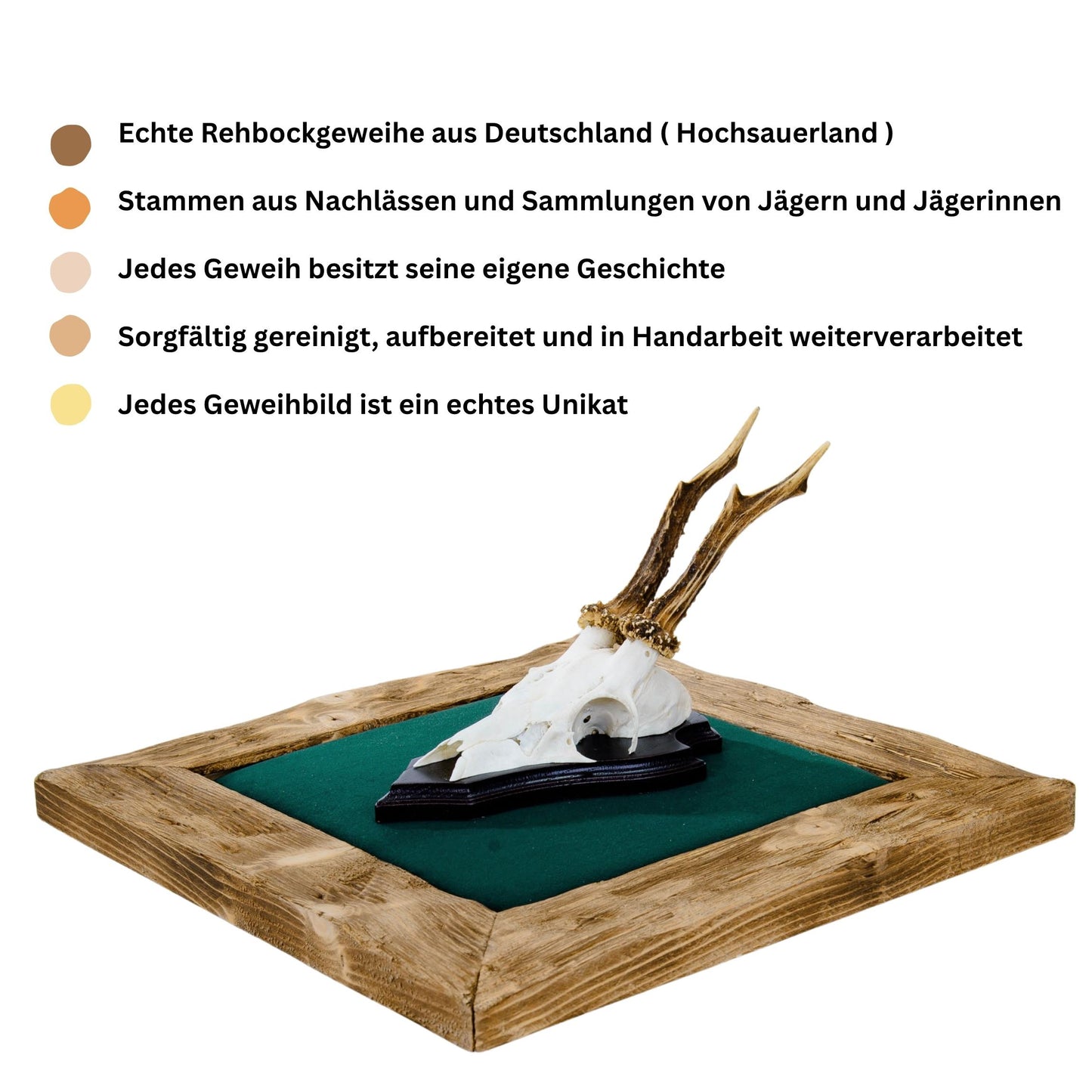 Geweihbilder Kiefergrün - Velour