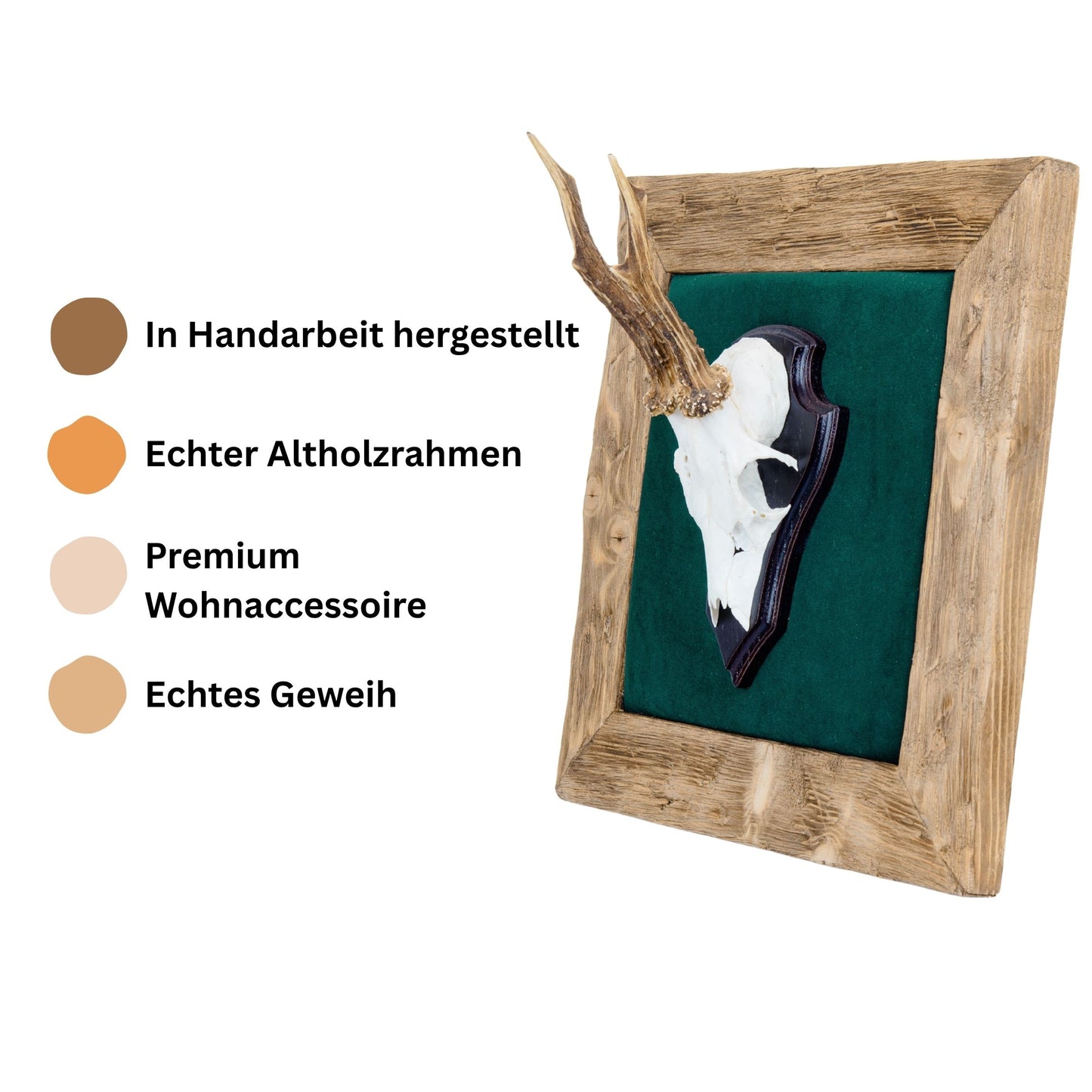 Geweihbilder Kiefergrün - Velour