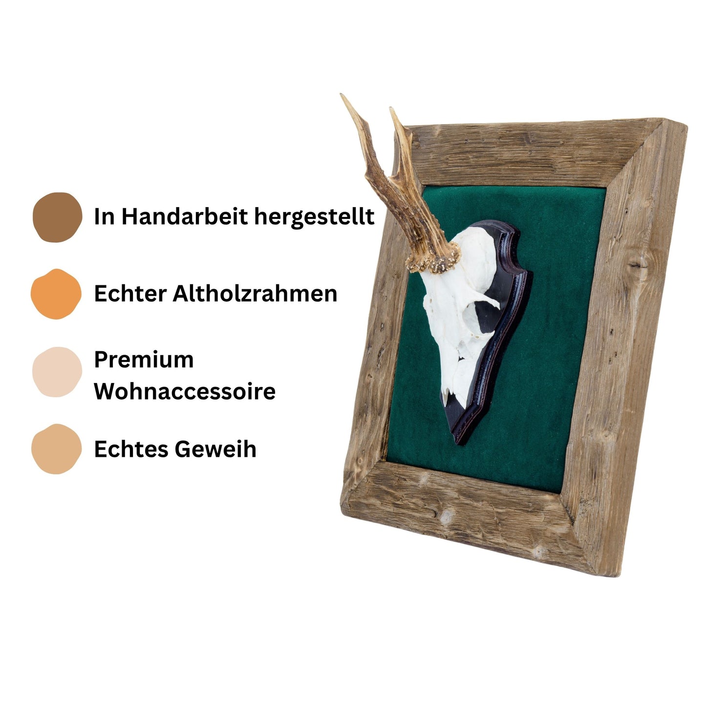 Geweihbilder Kiefergrün - Velour