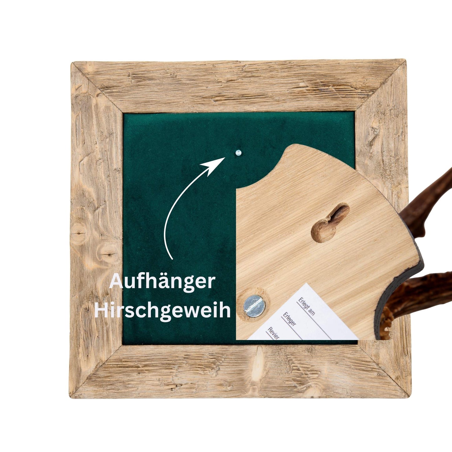 Geweihbilder Kiefergrün - Velour