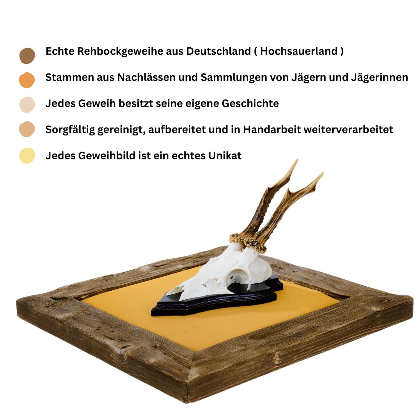 Geweihbilder Ocker - Velour