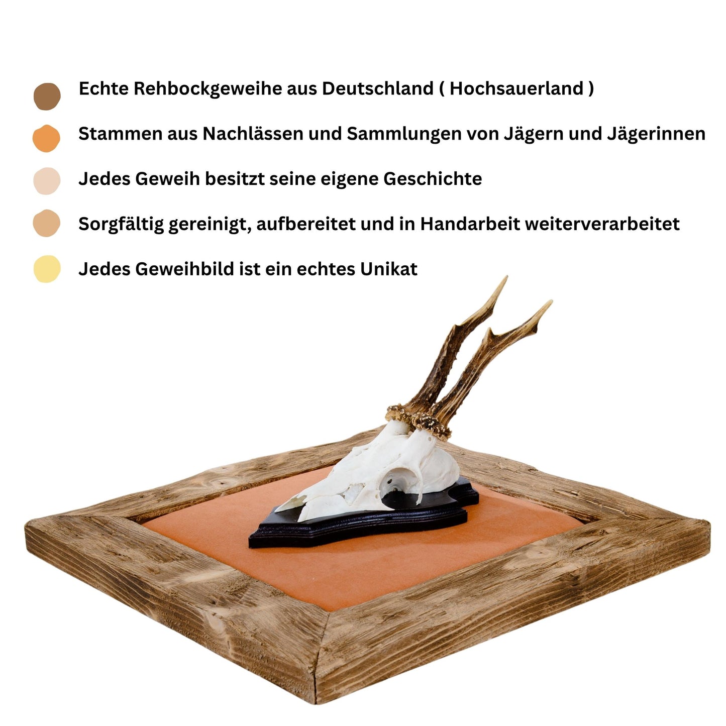 Geweihbilder Orange - Velour