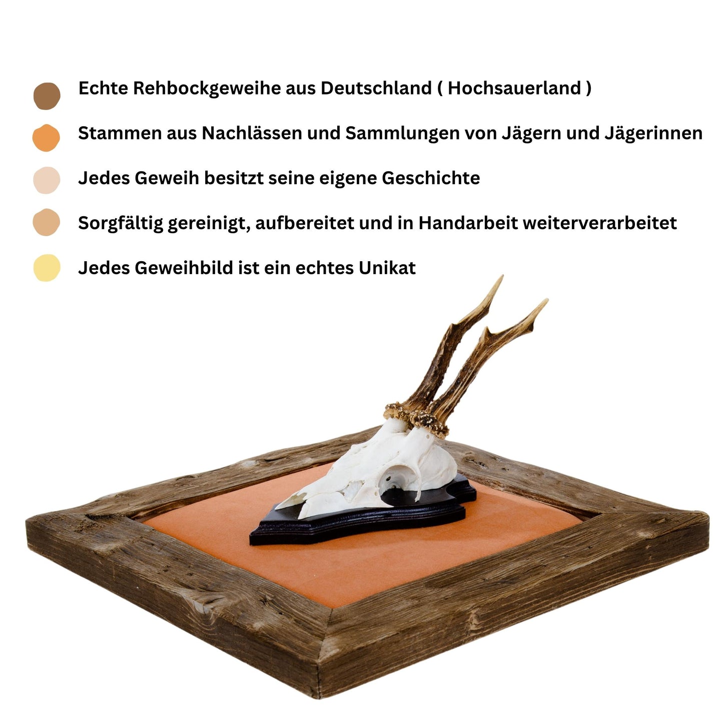 Geweihbilder Orange - Velour
