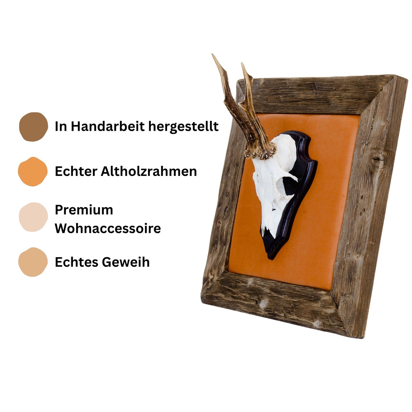 Geweihbilder Orange - Velour