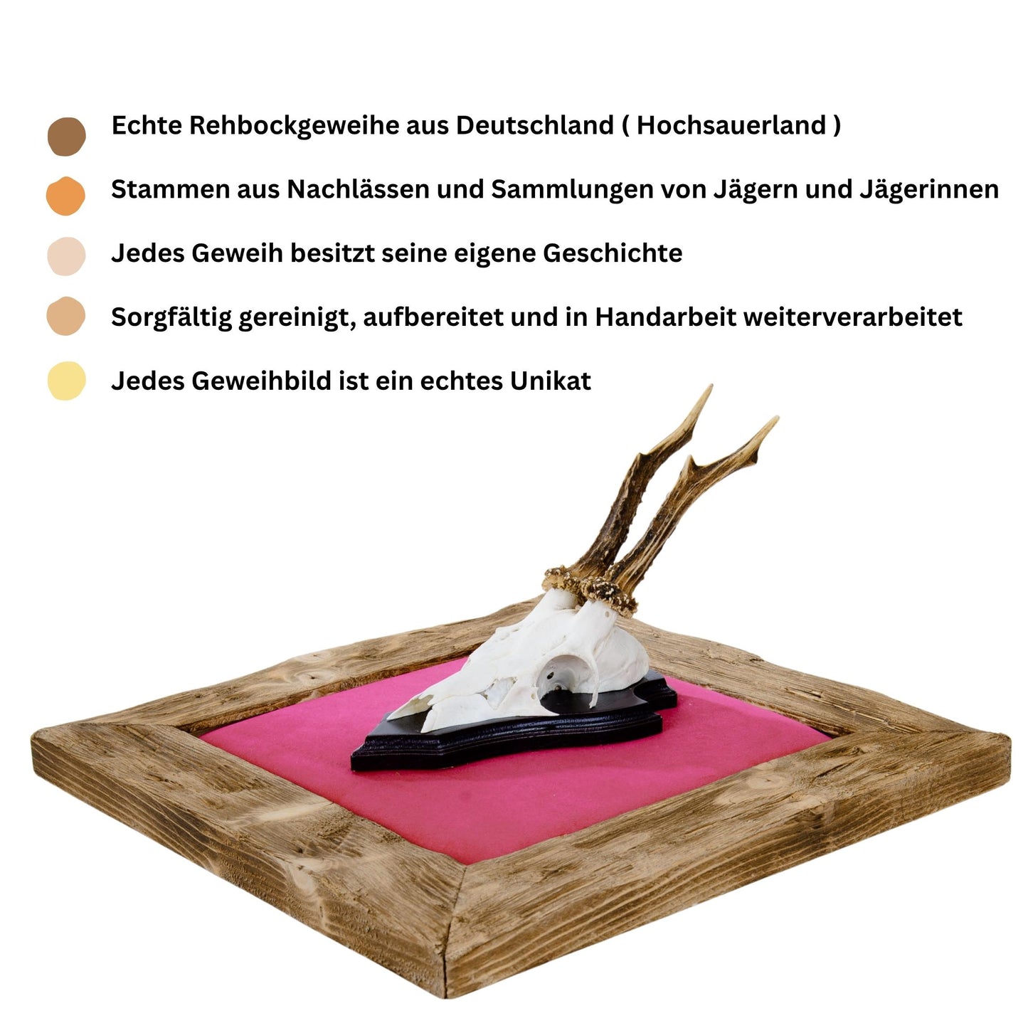 Geweihbilder Pink - Velour