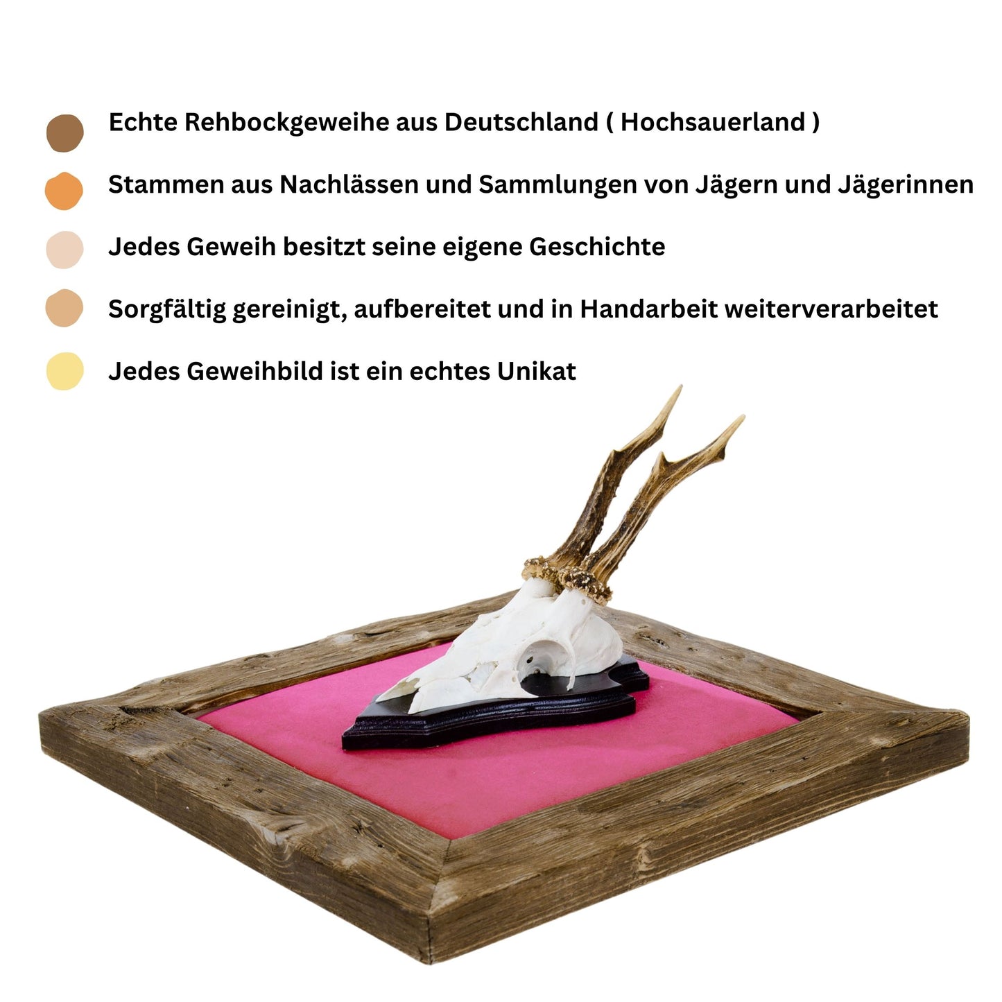 Geweihbilder Pink - Velour